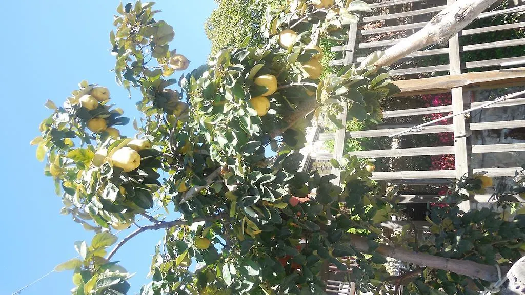 Ξενώνας Παρθενών της κυρά Βαγγελιώς Παρθενώνας Ελλάδα